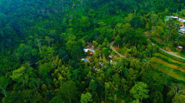 Pandeglang, Banten 'de Pandeglang Dağı eteklerinde büyüleyici bir köy, pitoresk bir üçgen oluşturur.. 