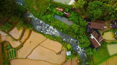 Kerinci Dağı eteğinde yer alan geniş Kayu Aro çay bahçesi, deniz seviyesinden 1600 metre yükseklikte 2.500 hektarın üzerinde, açık mavi gökyüzü altında hasat için hazır..