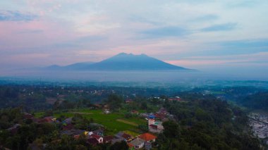 Kerinci Dağı eteğinde yer alan geniş Kayu Aro çay bahçesi, deniz seviyesinden 1600 metre yükseklikte 2.500 hektarın üzerinde, açık mavi gökyüzü altında hasat için hazır..