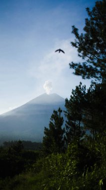 Capture the awe-inspiring view of Semeru Mountain from its foothills, where volcanic ash billows into the sky every minute. Surrounded by vibrant blue skies and diverse trees, clipart