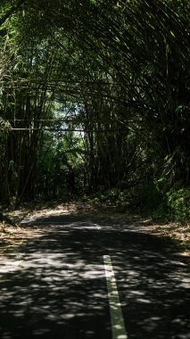 Yüksek bambu her iki tarafta toprak yol boyunca eğilip kırsalda cennet gibi bir güzellik yaratır.