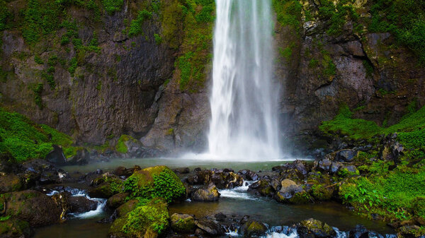 A hidden waterfall in Bali cascades powerfully, surrounded by lush green plants. This serene oasis invites visitors to experience nature's beauty and tranquility.