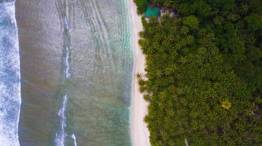 Hindistan cevizi palmiyeleri, turkuaz okyanus dalgaları ve Endonezya ile çarpıcı tropikal plajların havadan görünüşü