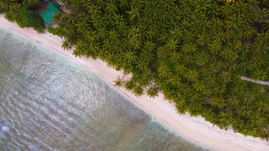 Hindistan cevizi palmiyeleri, turkuaz okyanus dalgaları ve Endonezya ile çarpıcı tropikal plajların havadan görünüşü