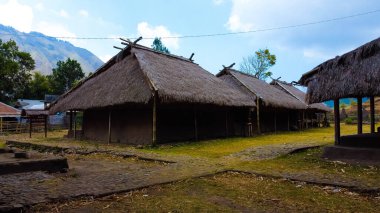 Rinjani Dağı eteklerindeki geleneksel köyün hava manzaralarını keşfedin, serin bir atmosfer, yemyeşil bahçeler ve bölgeyi çevreleyen güzel tepeler.