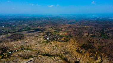 An aerial view of Sade Village in Lombok reveals lush farmland and densely populated homes under the bright midday sun, showcasing vibrant community life. clipart