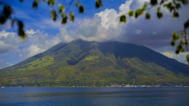 Muz bitkileri ve dağ manzarası
