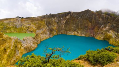 Ende 'deki Kelimutu' nun Üç Renkli Gölü 'nün büyüleyici hava görüntüsünü deneyin. Mistik bulutlara sarılmış, efsanevi zengin bu büyülü yer, ruhu büyüleyen nefes kesici bir manzara sunuyor..