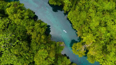 İnsanoğlunun insansız hava aracı görüntüsü dağ gölünde çam ağaçlarıyla birlikte ayakta kürek çekiyor.