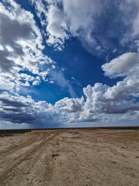 Çölde güzel bulutlu bir günün dikey çekimi.