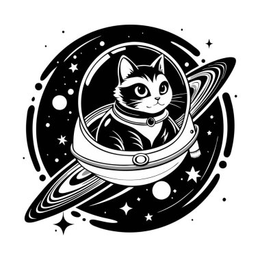 Uzay gemisindeki kedi yıldız geçidine çarpıyor.