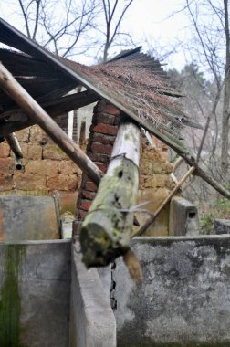 Ormandaki eski ahşap ev