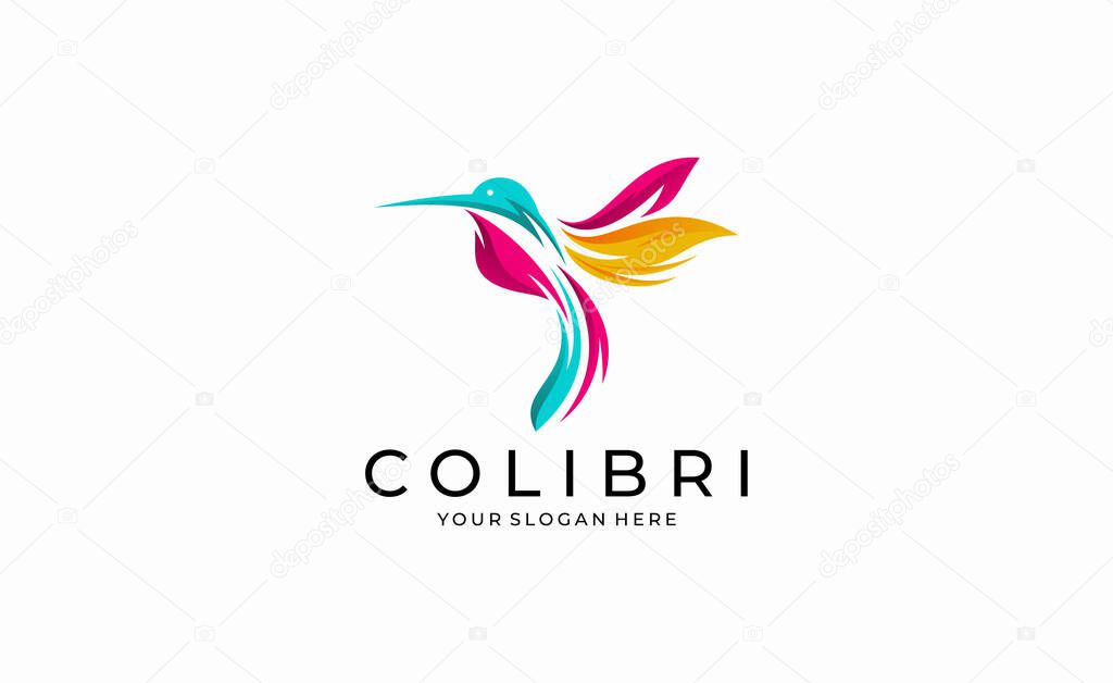 Abstract colorful hummingbird colibri bird logo Icon, Humming Bird Colibri Data Logo Design Vector Template, Technology, Connect.