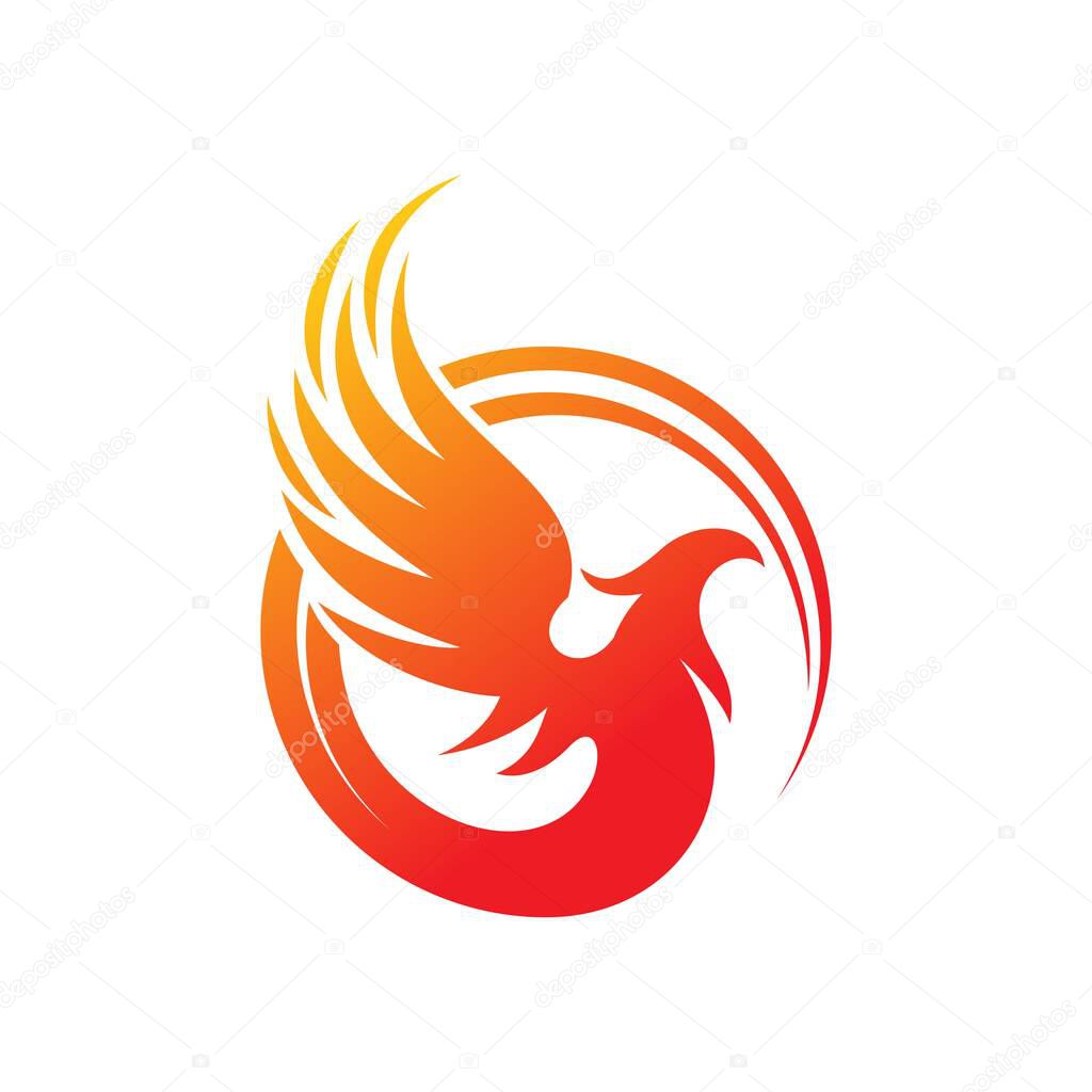 Phoenix rising Wings Logo design vector template. Luxury corporate Falcon Eagle Hawk bird Logotype concept icon.