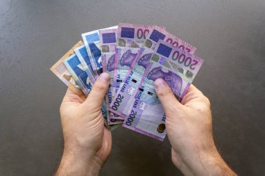 Arnavut Lek Banknotları Sayan Adam. Elinde bir yığın Arnavut Lek banknotunu tutan ve sayan bir adam, yakın plan el ve para birimi.