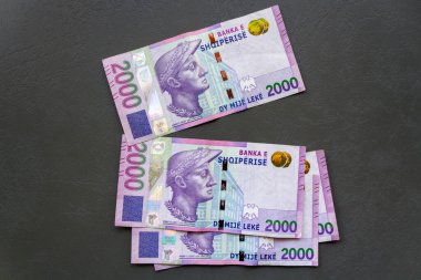 Masa Üzerine Arnavut Lek Banknotları. Arnavut Lek banknotlarının yakın plan çekimleri para birimine odaklanarak masaya serildi.