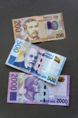 Masa Üzerine Arnavut Lek Banknotları. Arnavut Lek banknotlarının yakın plan çekimleri para birimine odaklanarak masaya serildi.