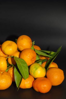 Karanlık Arkaplanda Yeni Seçilmiş Mandalina. Koyu bir zemin üzerinde yaprakları olan taze toplanmış mandalinaların yakın çekimi, canlı renklerini ve dokusunu vurguluyor..