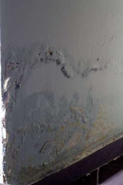 Daire duvarındaki küf büyümesi yakın plan.