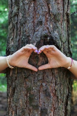 Genç bir kadın ormanda bir ağaç gövdesinin arkasında duruyor, kollarıyla sarılıyor ve parmaklarıyla kalp şekli oluşturuyor. Doğaya duyulan sevgi, çevreye duyulan ilgi, romantizm kavramı