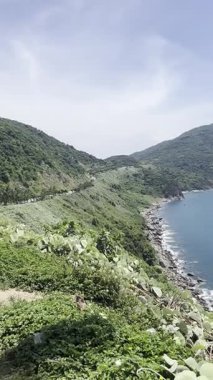 Hava manzarası, yemyeşil dağların açık mavi denizle buluştuğu Vietnam 'ın çarpıcı sahil şeridini gösteriyor. Aydınlık bir yaz gününde verimli, ormanlı yamaçlar boyunca dolambaçlı bir yol görülebilir. Bn o Sn Tr, Da Nang, Vietnam