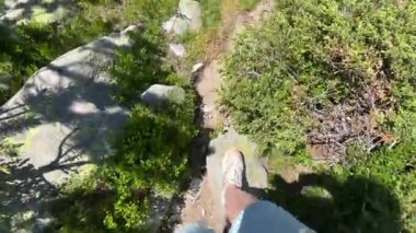 Bu video Pirin Dağı 'nın yemyeşil patikalarında sakin bir yaz yürüyüşü yakalar ve berrak bir alp gölü manzarasıyla doruğa ulaşır. Doğanın güzelliğini ve sükunetini tecrübe et..