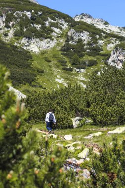 Bulgaristan 'ın Pirin Milli Parkı' nın yeşil ve kayalık yamaçlarında, açık mavi gökyüzü altındaki yemyeşil çam ağaçlarıyla çevrili, tek başına yürüyüş yapan bir yürüyüşçü manzaralı bir patikada yürüyor..