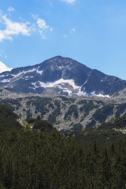 Bulgaristan 'ın Pirin Milli Parkı' nda karlı bir zirve, engebeli, karlı ve kayalarla kaplı yamaçlar ve parlak mavi gökyüzünün altında yoğun bir yeşil orman bulunuyor..