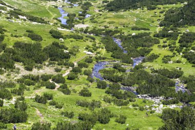 Pirin Ulusal Parkı, Bulgaristan: Dolambaçlı bir nehri olan manzaralı dağ vadisi, yemyeşil çayırlar, çam çalıları, yürüyüş yolu, küçük köprü ve uzakta yürüyen bir kişi.