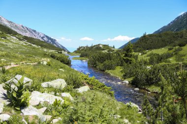 Dağ akıntısının el değmemiş suları berrak mavi gökyüzünün altındaki canlı yeşil bir vadiden esiyor. Bu manzara Bulgaristan 'ın Pirin Milli Parkı' nın yaz güzelliğini yansıtıyor.