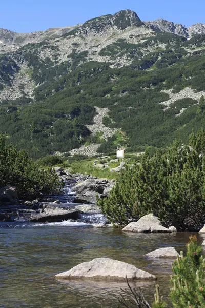Pirin Ulusal Parkı: Büyüleyici dağ manzarası. Sakin göle, engebeli tepelere, canlı yeşil bitki örtüsüne, parlak mavi gökyüzüne.