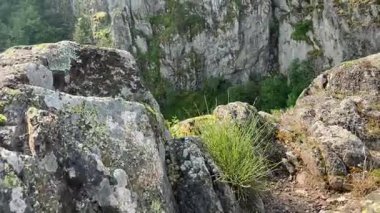 Pirin Dağları: Canlı yeşil ormanları olan yüksek kayalık kayalıklar. Güneş ışığı engebeli araziyi ve derin vadileri resmediyor, huzurlu doğal manzarayı..