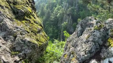 Yüksek bir görüş noktasından, yemyeşil bir dağ vadisine bakan nefes kesici panoramik bir manzara. Yosun kaplı kayalar sık orman tepe örtüsü ve uzak tepeleri çerçeveler.