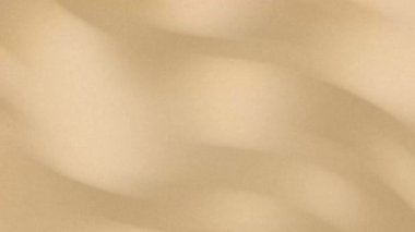 Zarif bej arkaplan, güzel bokeh parçacığı, yumuşak parlayan ışık, soyut koyu siyah dalgalı çizgi geometrik desen HD 4K kusursuz döngü animasyonu