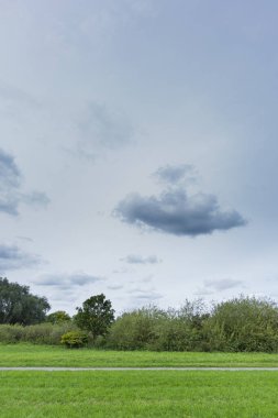 Yeşil çayır ve bulutlu mavi gökyüzü