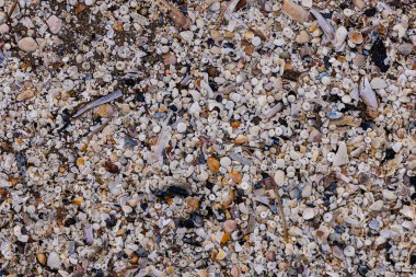 Deniz kıyısındaki arka planda