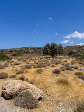 Girit adasının Rocky tepeleri, Yunanistan. Ekolojik ve fotoğraf turizmi kavramı