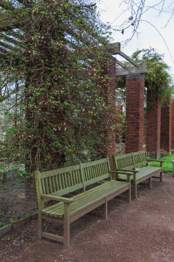 Parktaki ahşap bankta kırmızı tuğla duvar ve sarmaşık
