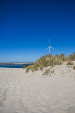 Hollanda 'da açık mavi gökyüzü olan bir plajda rüzgar türbinleri.