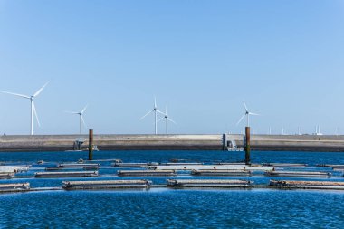 Hollanda sahillerinde rüzgar türbinleri