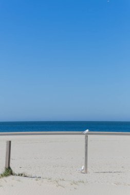 Deniz kıyısının güzel manzarası