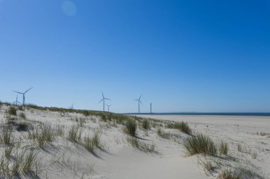 Hollanda 'nın Kuzey Denizi kıyılarında rüzgar türbini.