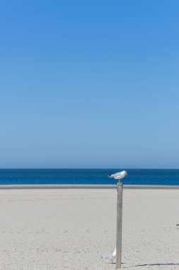 Kumsalda beyaz kum ve mavi gökyüzü.