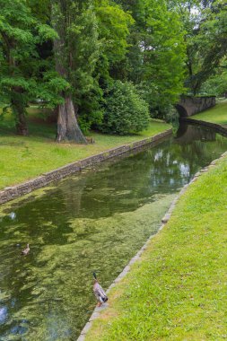 Liege Belçika 'da bir parkta bir kanalın kıyısındaki ördekler.