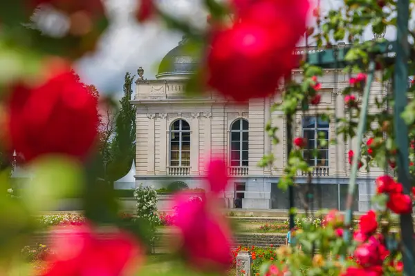Belçika 'daki sarayın bahçesinde güller