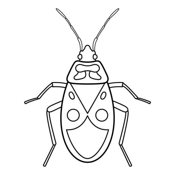 Firebug Beetle Outline Vector Illustration. A black and white illustration of a firebug beetle, featuring a symmetrical design with detailed body segmentation, long antennae, and six articulated legs.