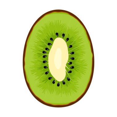 Dilimlenmiş Kivi Meyve Vektörü İllüstrasyonu. Kivi yeşili, meyvenin doğal dokusunu taklit eden parlak çizgiler içeren detaylar bakımından zengindir..