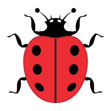 Siyah Leke ve Anten Vektör İllüstrasyonlu Sevimli Kırmızı Uğur Böceği. Altı koyu siyah noktalı parlak kırmızı bir kabuk kıvrık siyah bacaklar ve yuvarlak uçlu iki kıvrık anten..