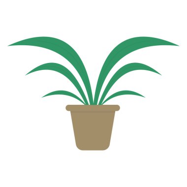 Kapalı Saksı Bitki Vektörü İllüstrasyonu. Uzun, kıvrımlı yeşil yapraklı, açık kahverengi bir tencerede yemyeşil bir bitkinin minimalist vektör çizimi..