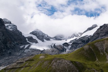 Stelvio 'dan gelen Alp buzulu manzarası yeşil çayır ve beyaz karla çok güzel bir tezat oluşturuyor.